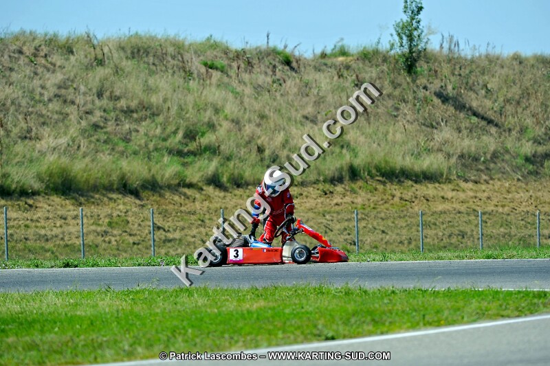 DSC_ (1527).jpg